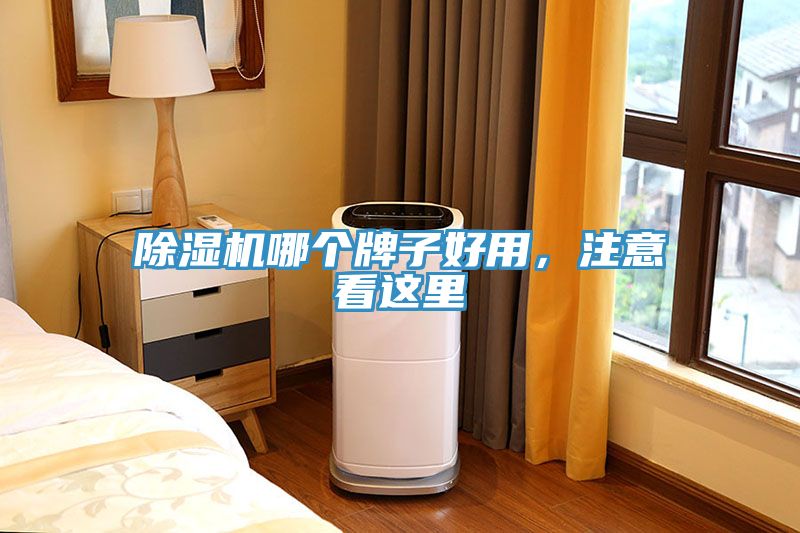 榴莲视频官网APP哪個牌子好用，注意看這裏