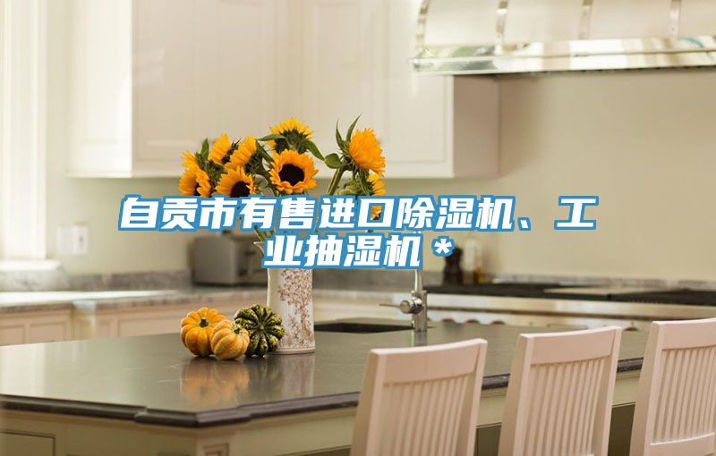 自貢市有售進口榴莲视频官网APP、工業抽濕機＊