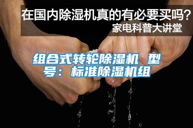 組合式轉輪榴莲视频官网APP 型號：標準榴莲视频官网APP組