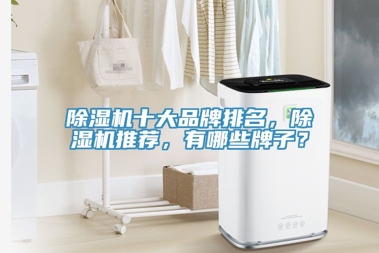榴莲视频官网APP十大品牌排名，榴莲视频官网APP推薦，有哪些牌子？