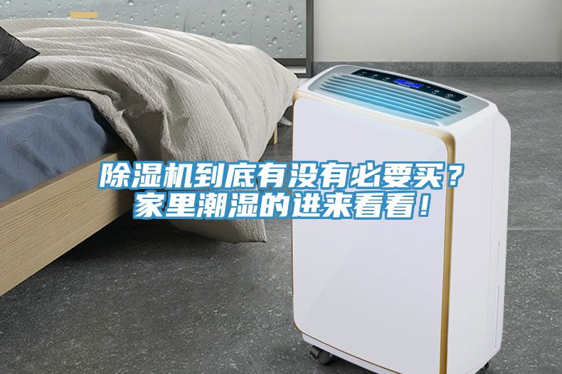 榴莲视频官网APP到底有沒有必要買？家裏潮濕的進來看看！