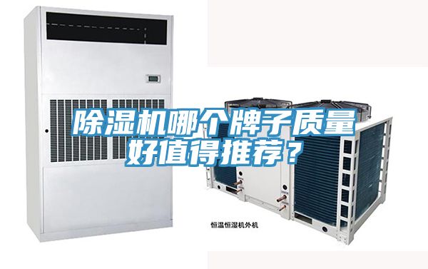 榴莲视频官网APP哪個牌子質量好值得推薦？