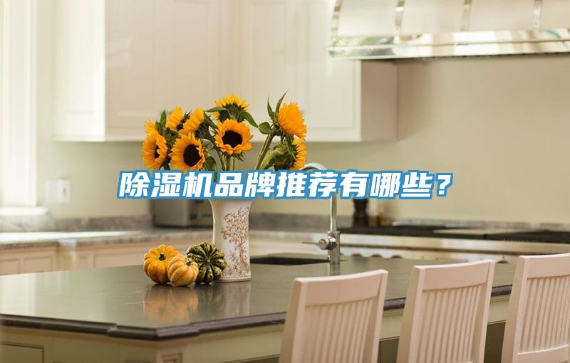 榴莲视频官网APP品牌推薦有哪些？