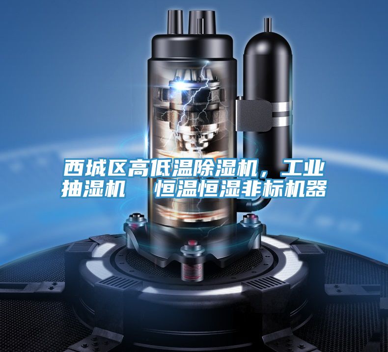 西城區高低溫榴莲视频官网APP，工業抽濕機  恒溫恒濕非標機器