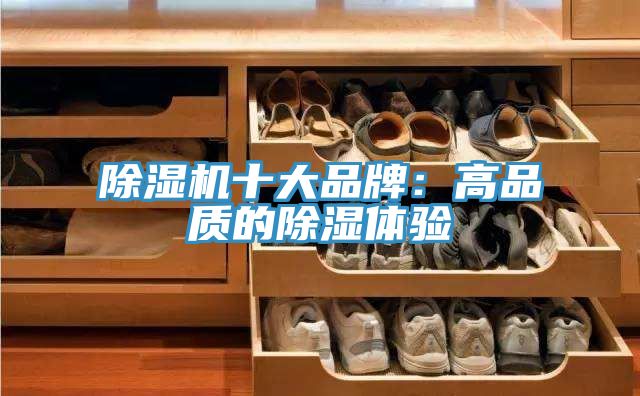 榴莲视频官网APP十大品牌：高品質的除濕體驗