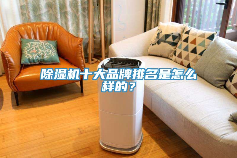 榴莲视频官网APP十大品牌排名是怎麽樣的？