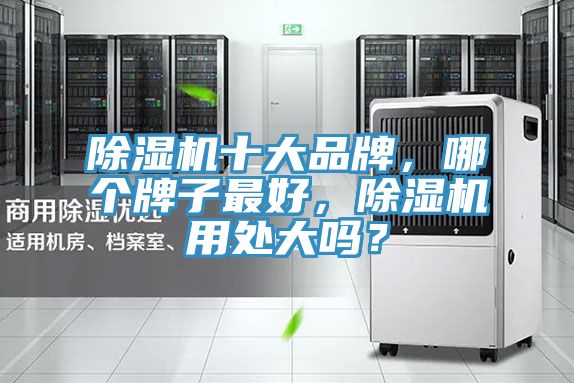 榴莲视频官网APP十大品牌，哪個牌子最好，榴莲视频官网APP用處大嗎？