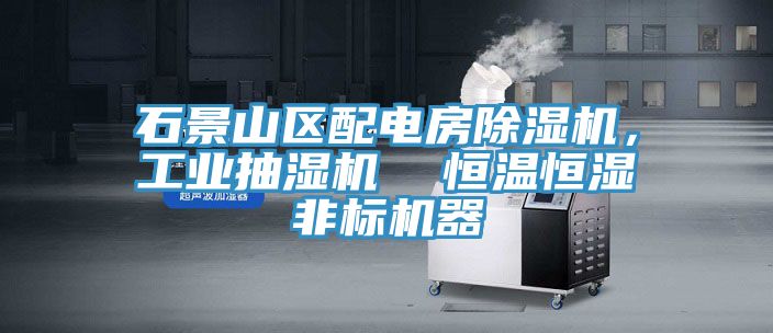 石景山區配電房榴莲视频官网APP，工業抽濕機  恒溫恒濕非標機器