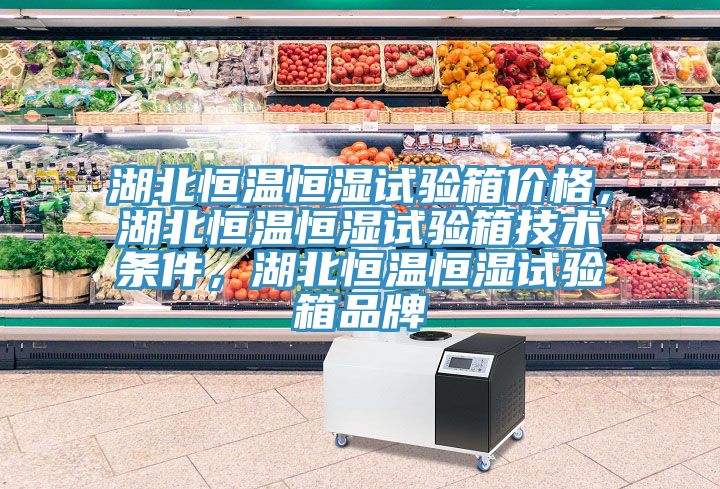 湖北恒溫恒濕試驗箱價格，湖北恒溫恒濕試驗箱技術條件，湖北恒溫恒濕試驗箱品牌