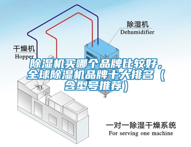 榴莲视频官网APP買哪個品牌比較好，全球榴莲视频官网APP品牌十大排名（含型號推薦）