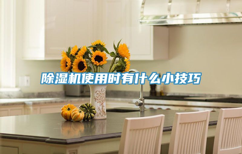 榴莲视频官网APP使用時有什麽小技巧
