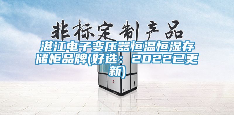 湛江電子變壓器恒溫恒濕存儲櫃品牌(好選：2022已更新)