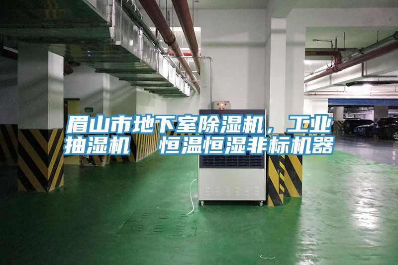 眉山市地下室榴莲视频官网APP，工業抽濕機  恒溫恒濕非標機器
