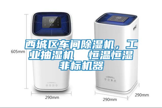 西城區車間榴莲视频官网APP，工業抽濕機  恒溫恒濕非標機器