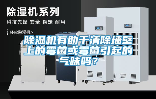 榴莲视频官网APP有助於清除牆壁上的黴菌或黴菌引起的氣味嗎？