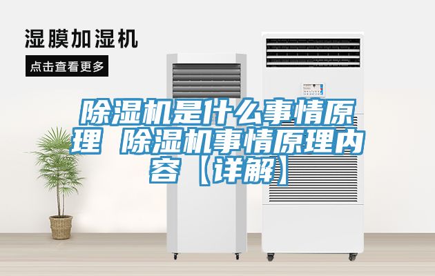 榴莲视频官网APP是什麽事情原理 榴莲视频官网APP事情原理內容【詳解】