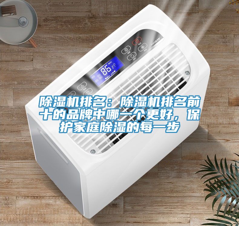 榴莲视频官网APP排名：榴莲视频官网APP排名前十的品牌中哪一個更好，保護家庭除濕的每一步