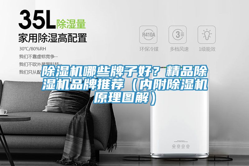 榴莲视频官网APP哪些牌子好？精品榴莲视频官网APP品牌推薦（內附榴莲视频官网APP原理圖解）