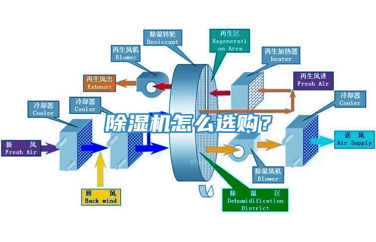 榴莲视频官网APP怎麽選購？