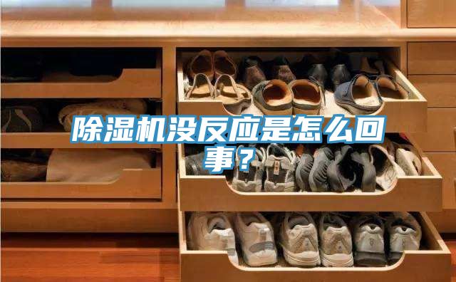 榴莲视频官网APP沒反應是怎麽回事？