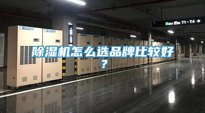 榴莲视频官网APP怎麽選品牌比較好？