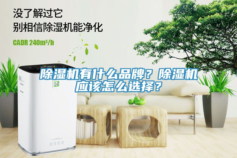 榴莲视频官网APP有什麽品牌？榴莲视频官网APP應該怎麽選擇？