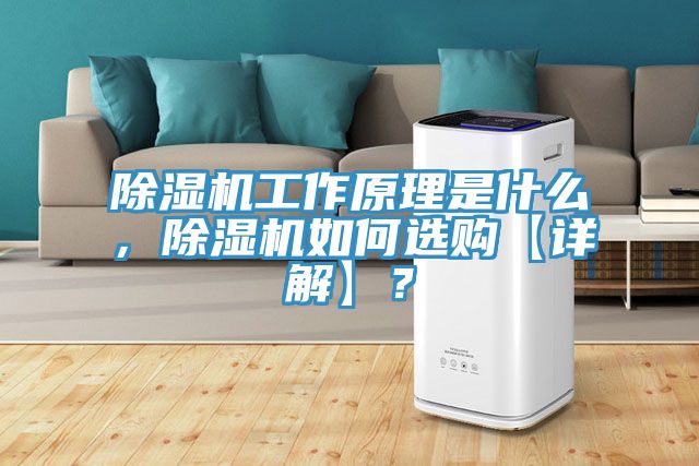榴莲视频官网APP工作原理是什麽，榴莲视频官网APP如何選購【詳解】？