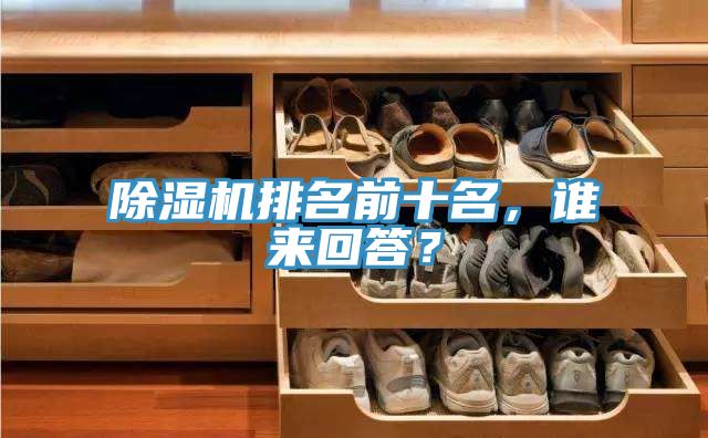 榴莲视频官网APP排名前十名，誰來回答？