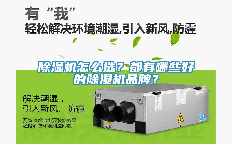 榴莲视频官网APP怎麽選？都有哪些好的榴莲视频官网APP品牌？