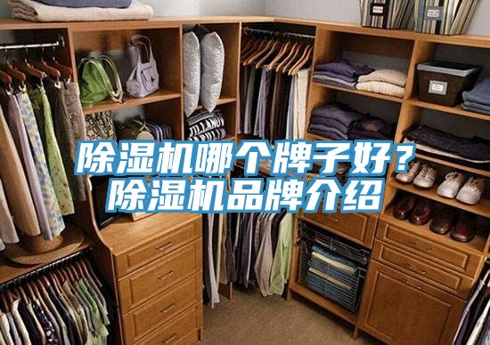 榴莲视频官网APP哪個牌子好？榴莲视频官网APP品牌介紹