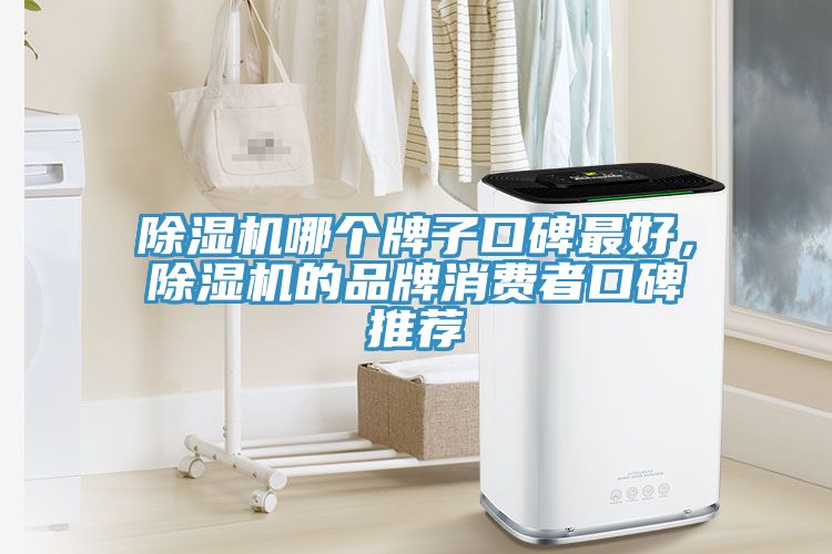 榴莲视频官网APP哪個牌子口碑最好，榴莲视频官网APP的品牌消費者口碑推薦