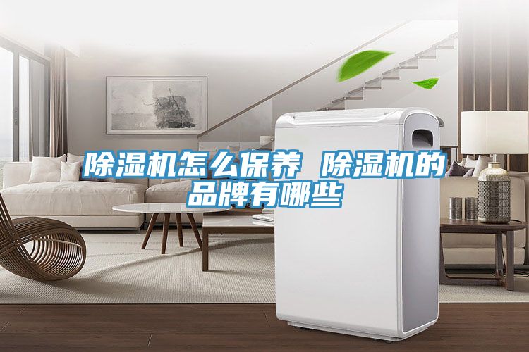 榴莲视频官网APP怎麽保養 榴莲视频官网APP的品牌有哪些