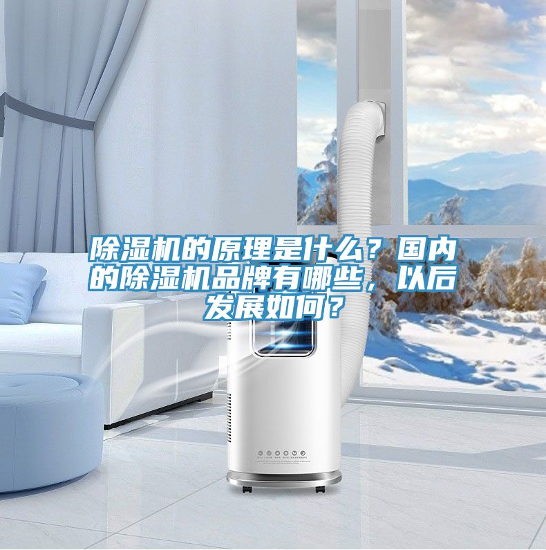 榴莲视频官网APP的原理是什麽？國內的榴莲视频官网APP品牌有哪些，以後發展如何？