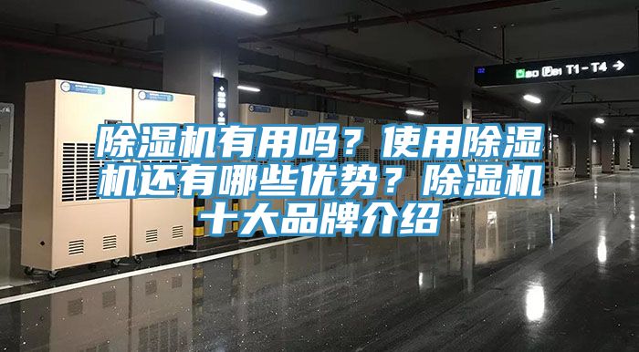 榴莲视频官网APP有用嗎？使用榴莲视频官网APP還有哪些優勢？榴莲视频官网APP十大品牌介紹