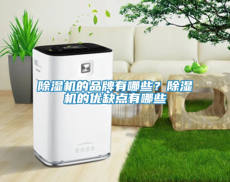 榴莲视频官网APP的品牌有哪些？榴莲视频官网APP的優缺點有哪些
