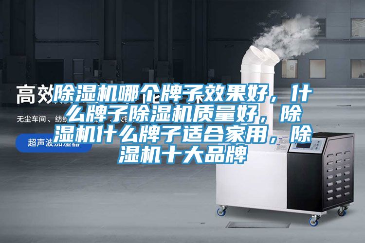 榴莲视频官网APP哪個牌子效果好，什麽牌子榴莲视频官网APP質量好，榴莲视频官网APP什麽牌子適合家用，榴莲视频官网APP十大品牌