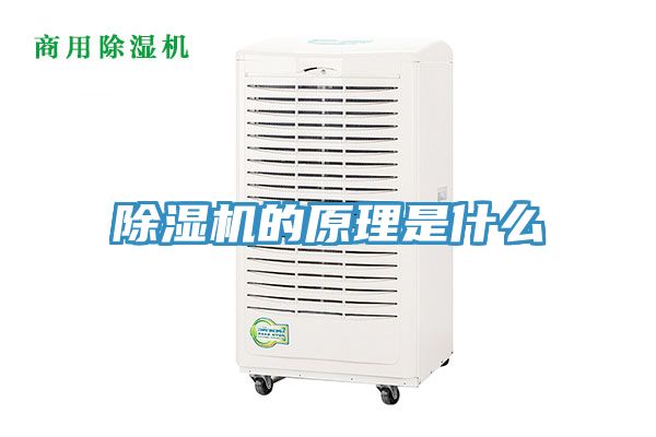 榴莲视频官网APP的原理是什麽