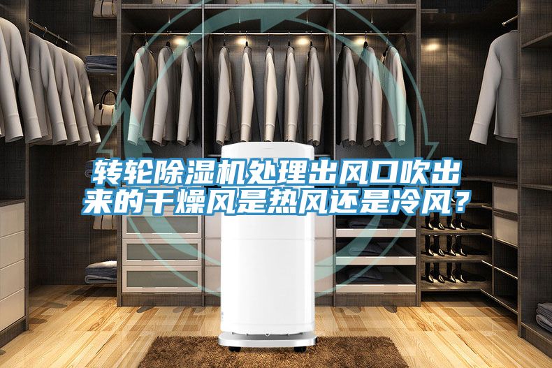 轉輪榴莲视频官网APP處理出風口吹出來的幹燥風是熱風還是冷風？