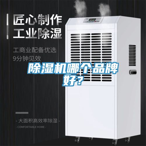 榴莲视频官网APP哪個品牌好？