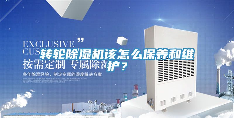 轉輪榴莲视频官网APP該怎麽保養和維護？