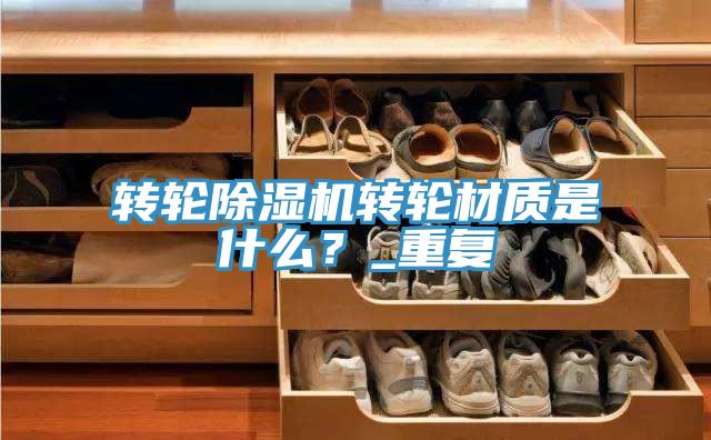轉輪榴莲视频官网APP轉輪材質是什麽？_重複