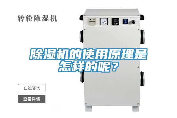 榴莲视频官网APP的使用原理是怎樣的呢？