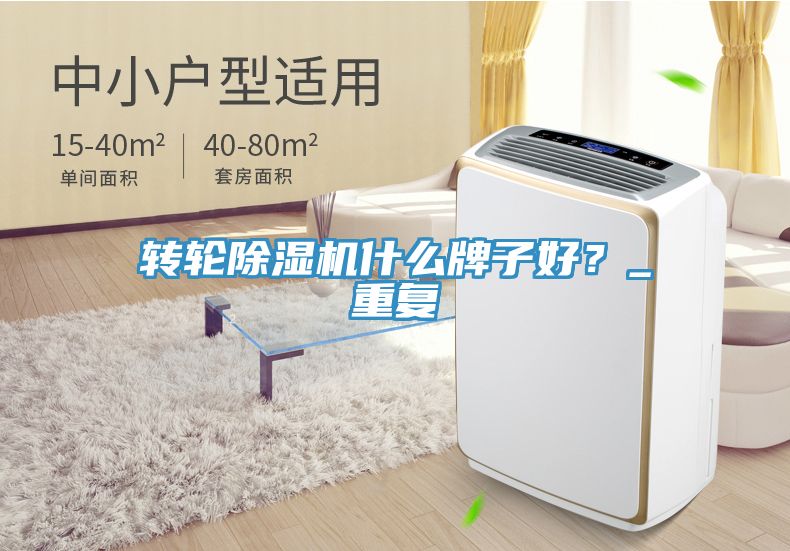 轉輪榴莲视频官网APP什麽牌子好？_重複