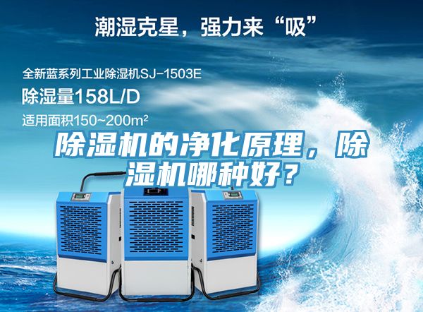 榴莲视频官网APP的淨化原理，榴莲视频官网APP哪種好？