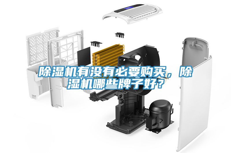 榴莲视频官网APP有沒有必要購買，榴莲视频官网APP哪些牌子好？