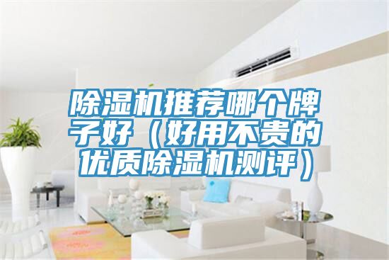 榴莲视频官网APP推薦哪個牌子好（好用不貴的優質榴莲视频官网APP測評）