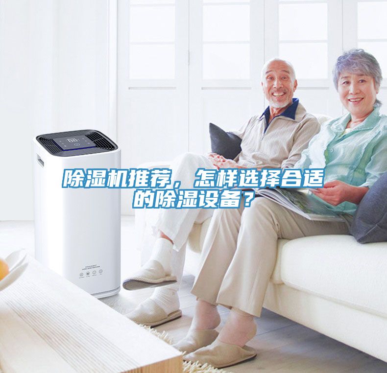 榴莲视频官网APP推薦，怎樣選擇合適的除濕設備？