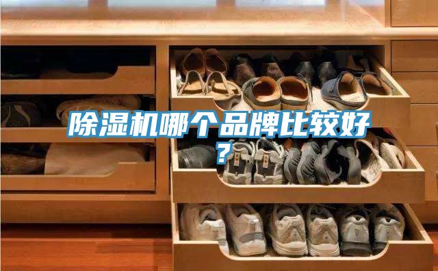 榴莲视频官网APP哪個品牌比較好？