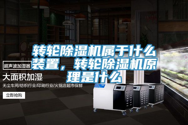 轉輪榴莲视频官网APP屬於什麽裝置，轉輪榴莲视频官网APP原理是什麽