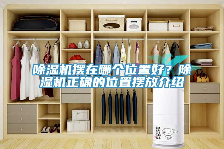 榴莲视频官网APP擺在哪個位置好？榴莲视频官网APP正確的位置擺放介紹